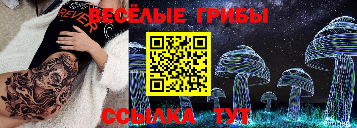 Чернушка  Галлюциногенные грибы мухоморы  Псилоцибиновые грибы Psilocybe  Вход с VPN 