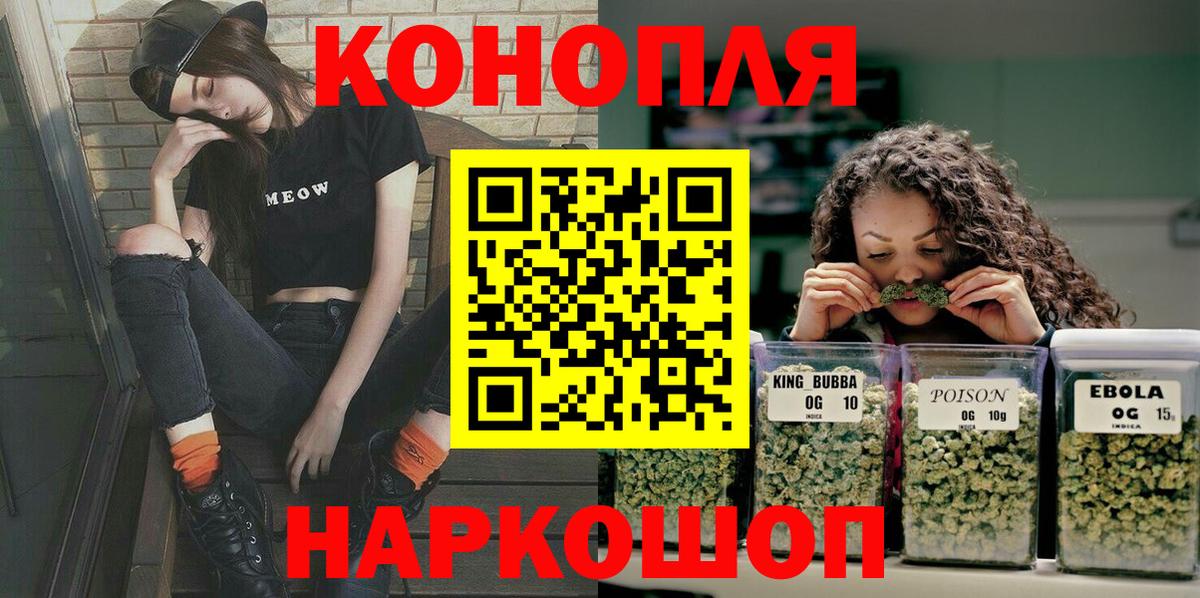 Чернушка  Каннабис план  Вход с VPN  Бошки марихуана индика 